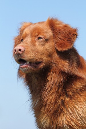 Bikkel 3 jaar en 3 maanden