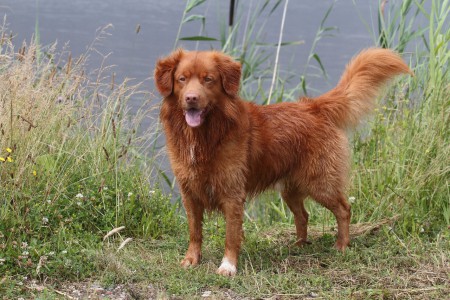 Gaan we nu weer verder?